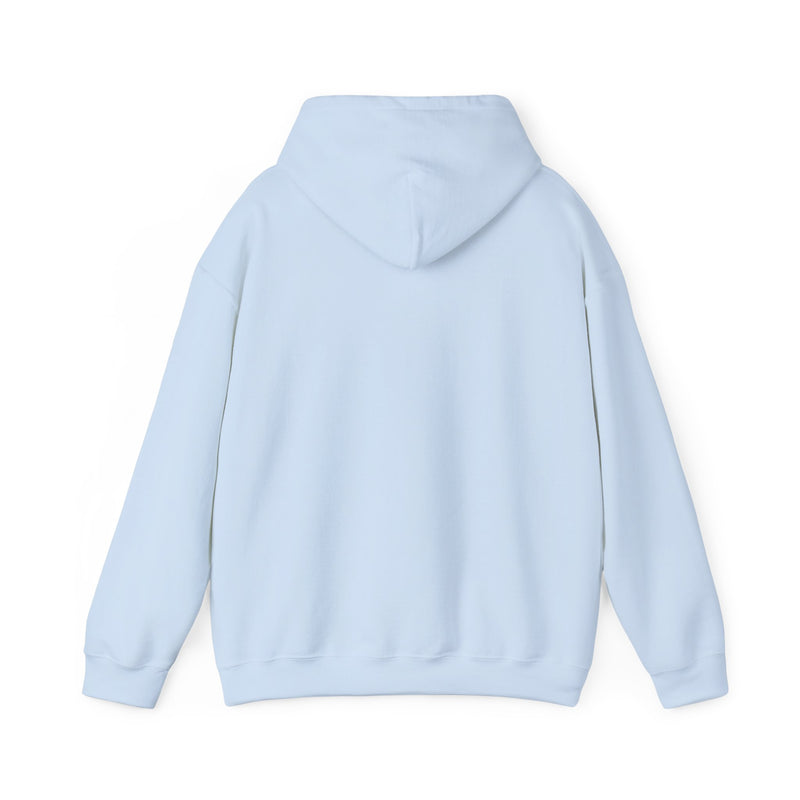 Covenant Rainbow Hoodie, Faith Hoodie, Everyday Wear