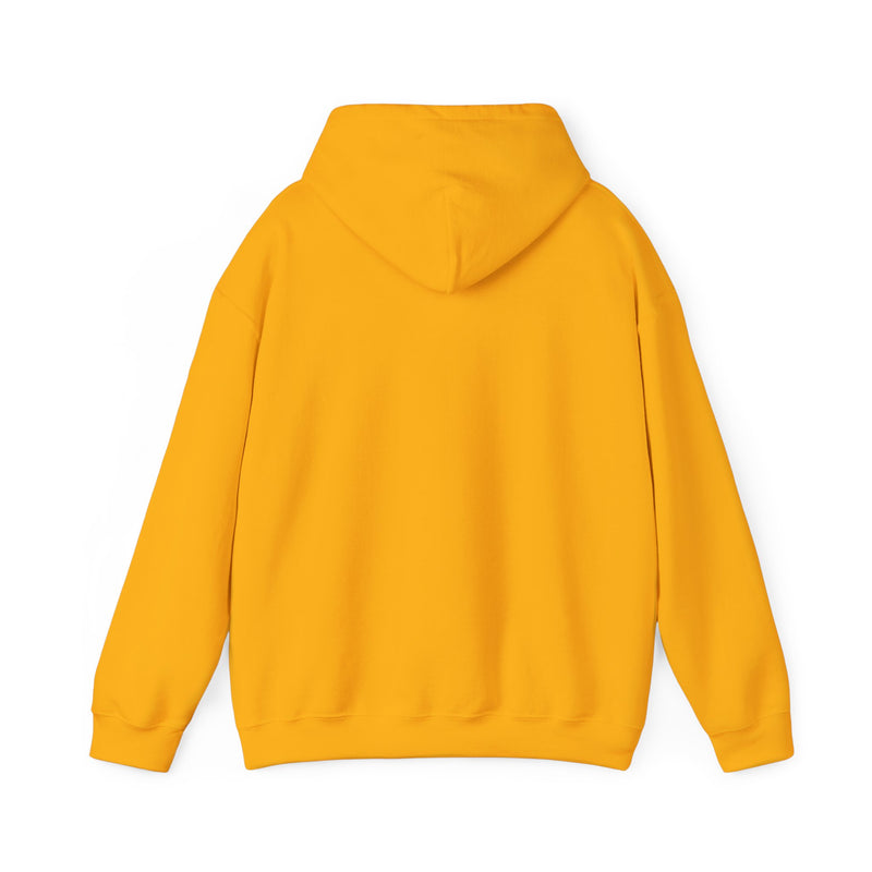 Covenant Rainbow Hoodie, Faith Hoodie, Everyday Wear