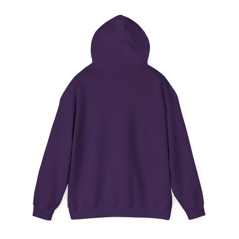 Covenant Rainbow Hoodie, Faith Hoodie, Everyday Wear