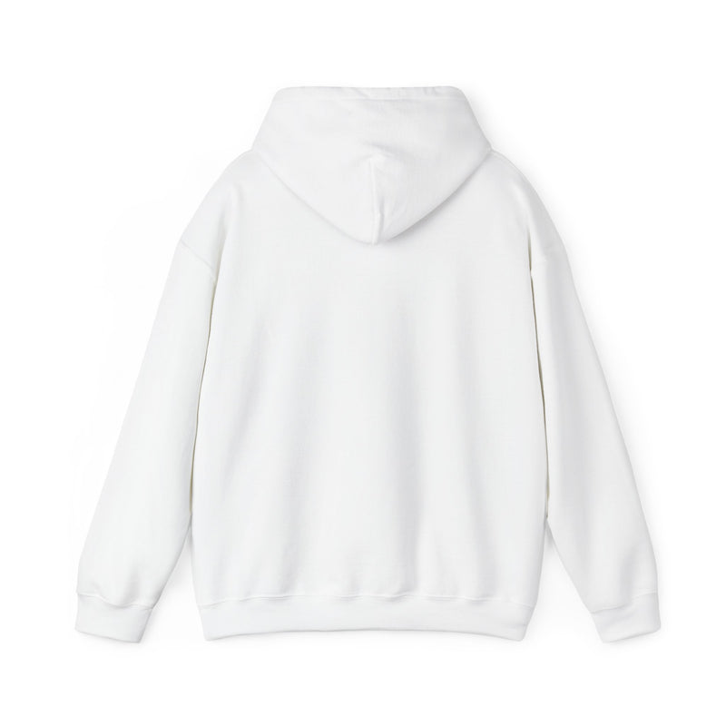Covenant Rainbow Hoodie, Faith Hoodie, Everyday Wear