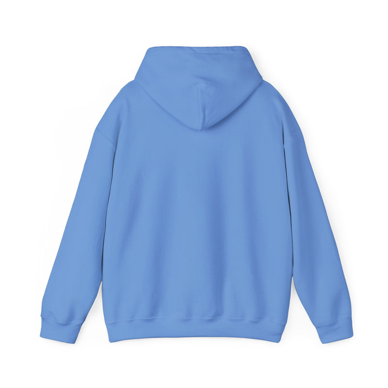Covenant Rainbow Hoodie, Faith Hoodie, Everyday Wear