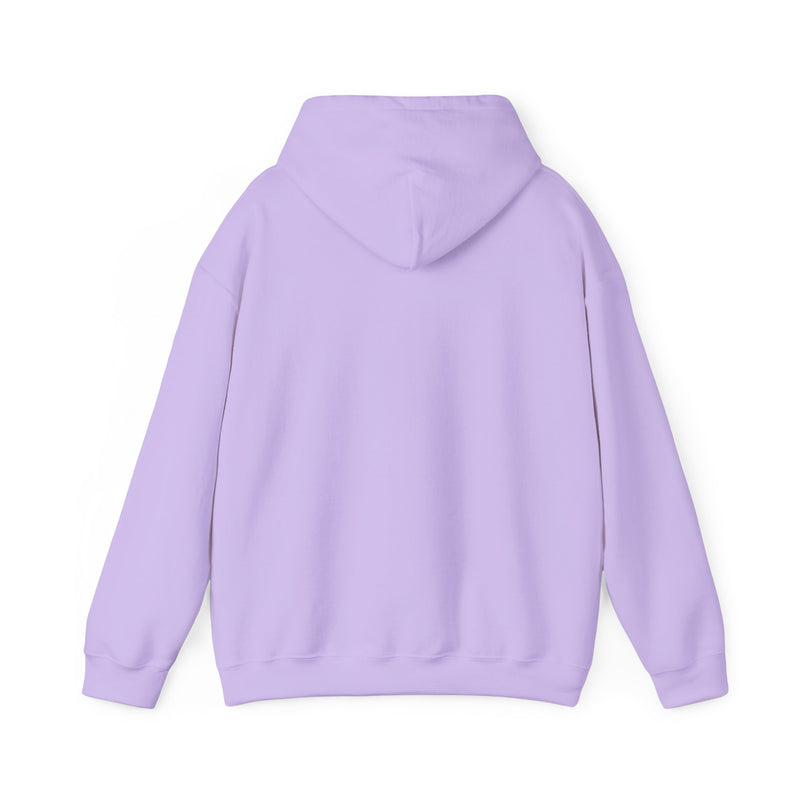Covenant Rainbow Hoodie, Faith Hoodie, Everyday Wear